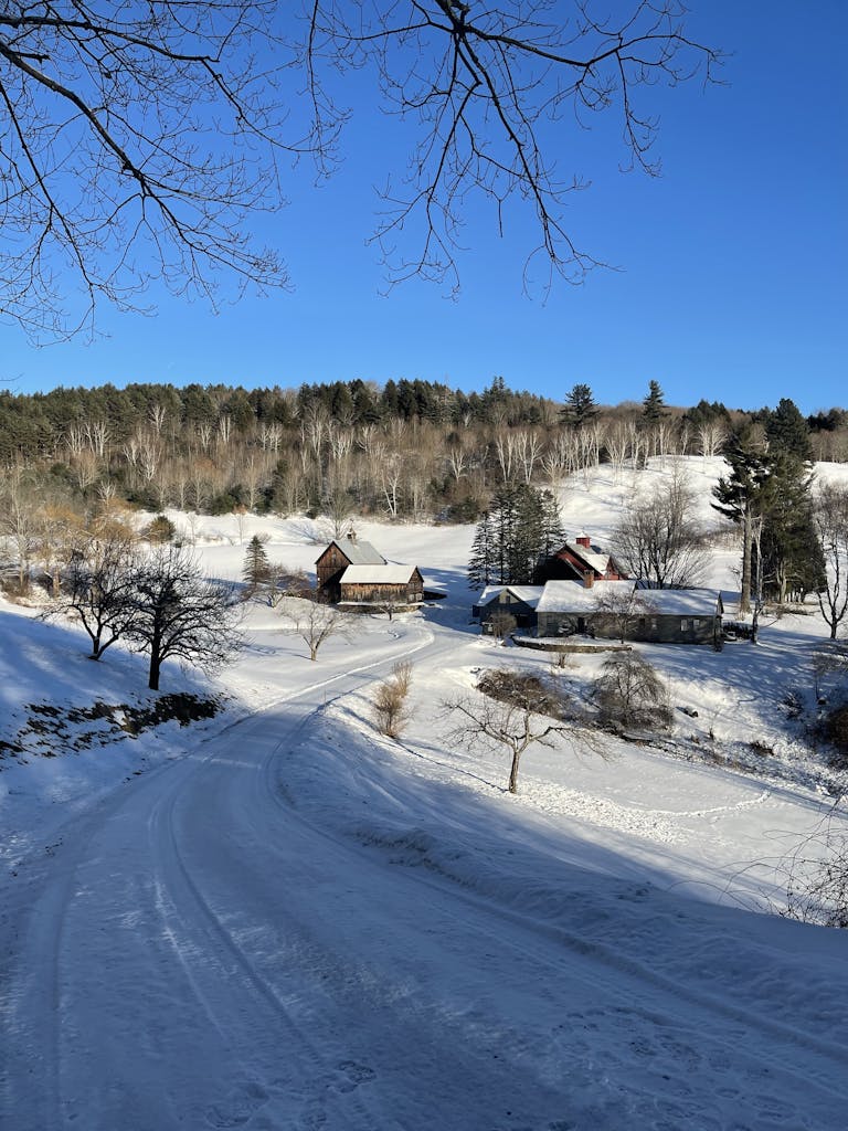Scenic view of snow-covered landscape with rustic houses and bare trees in Vermont.